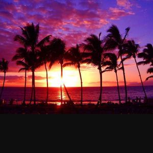 Meet your Posher, Kriss